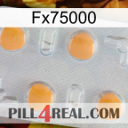 Fx75000 24